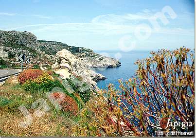 la costa adriatica